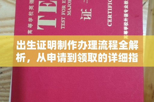 山东出生证明制作办理流程全解析，从申请到领取的详细指南
